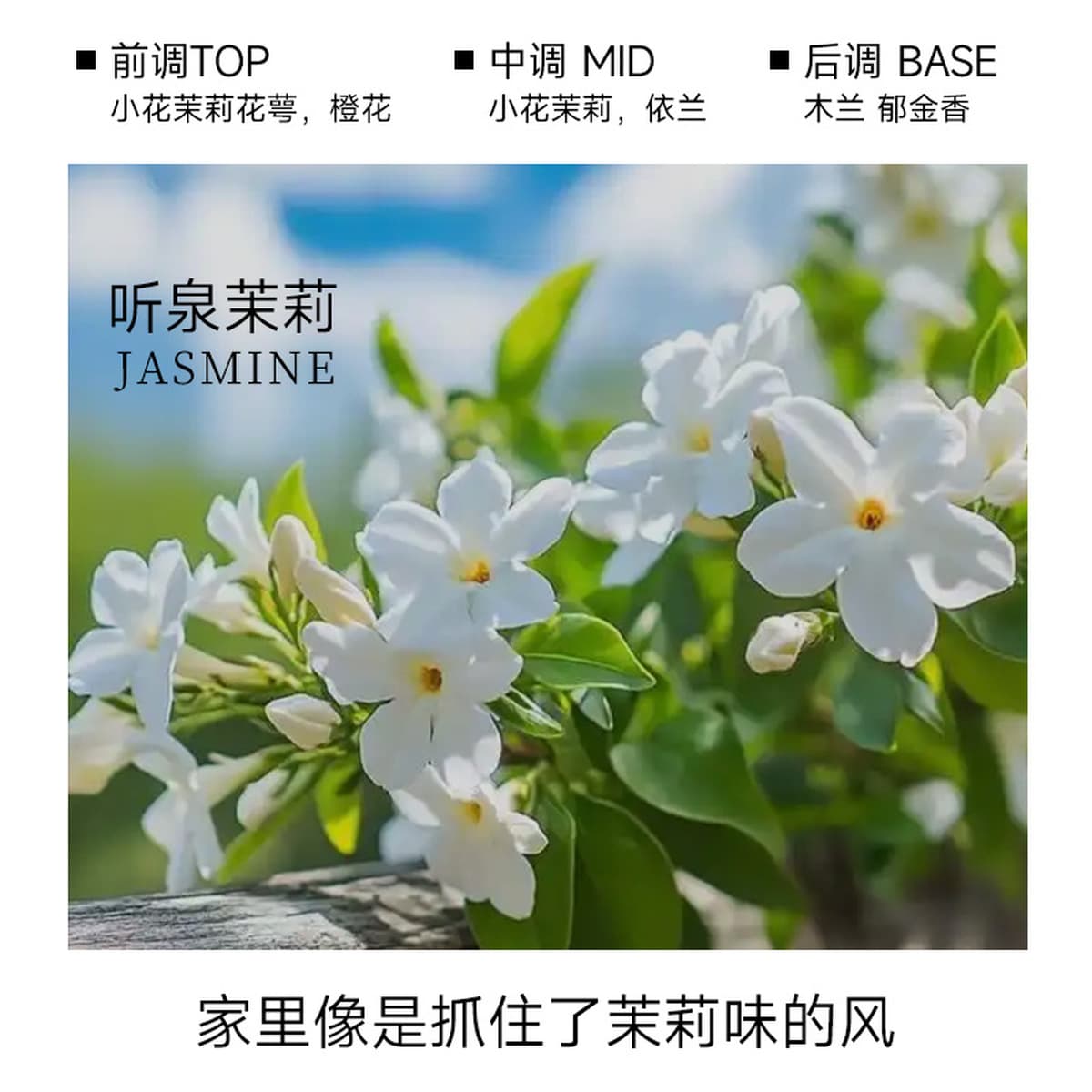 Всесезонный ароматизатор Zen Tea для спальни, элитный парфюм, ароматизатор для отелей, декоративные ароматизаторы для дома,...