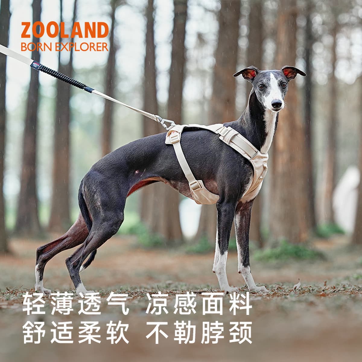 Поводок-шлейка для собак ZOOLAND для прогулок щенков, маленьких, средних и крупных собак Тедди Корги Бишон Бордер-колли...