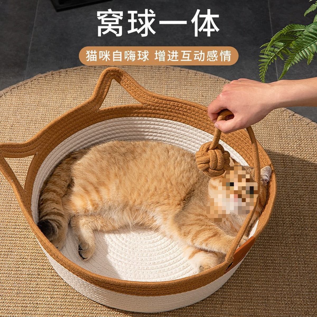 Летний домик для кошек, лежанка для кошек, лежанка для собак, доска для когтей, летняя лежанка для животных, товары для...