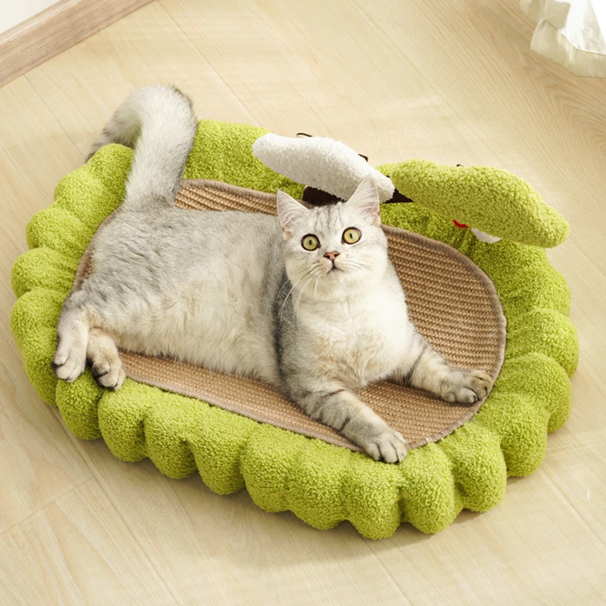 Денежное дерево кошачий кошачий кошачий кошачий кошачий поцарапать кошачий припасы