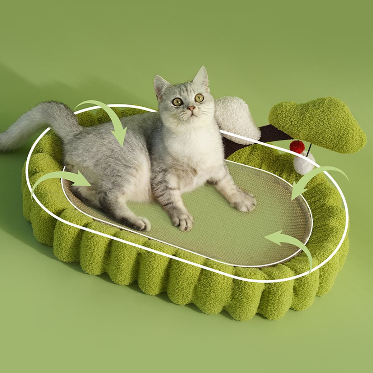 Денежное дерево кошачий кошачий кошачий кошачий кошачий поцарапать кошачий припасы