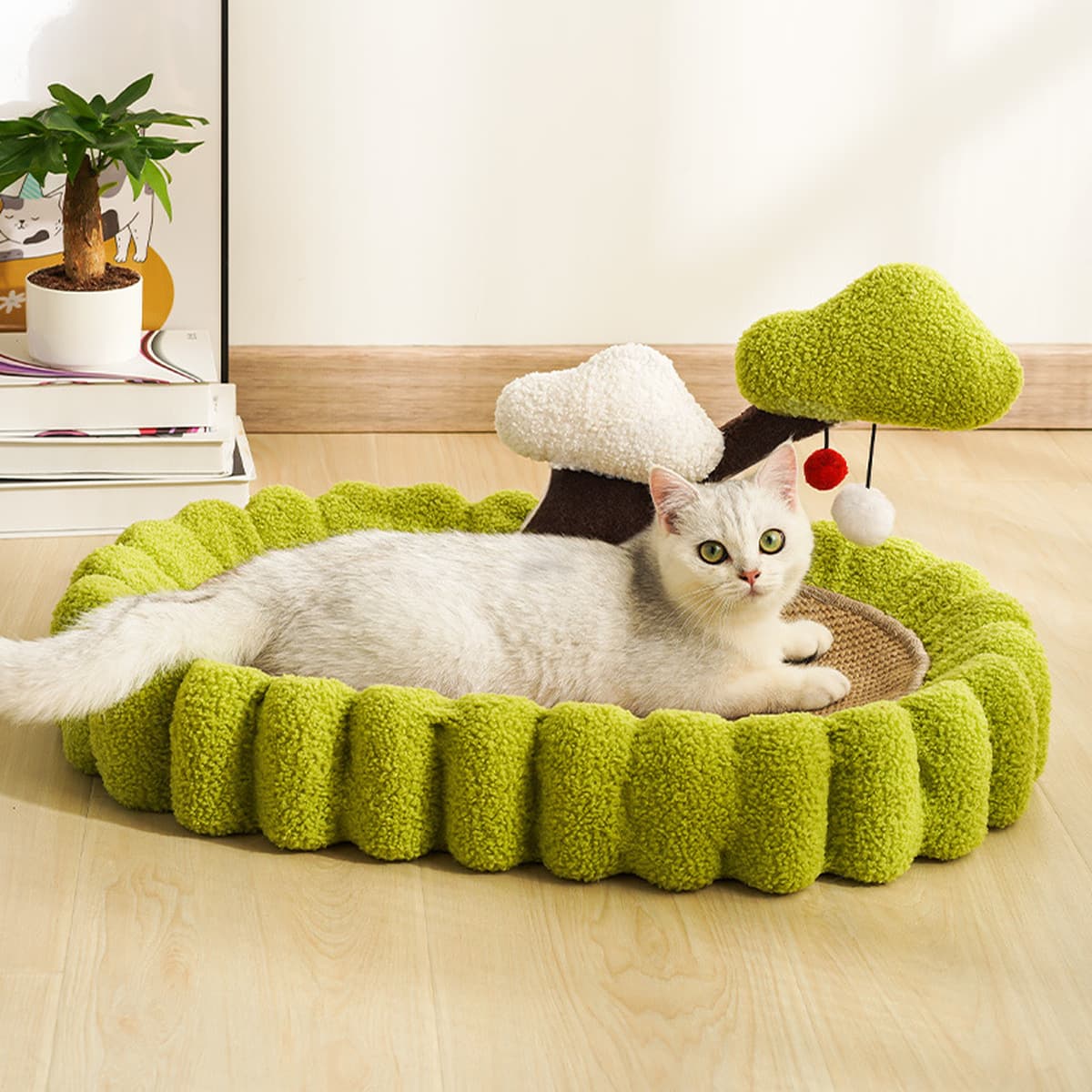 Денежное дерево кошачий кошачий кошачий кошачий кошачий поцарапать кошачий припасы