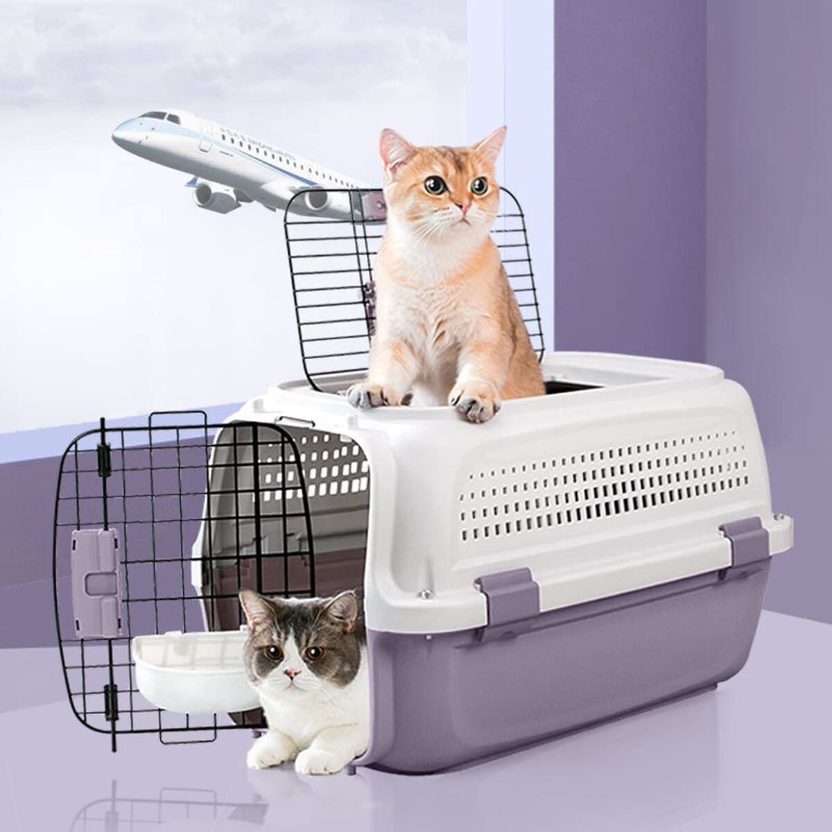 Cat Air Case Pet Consignment Исходящий Портативный Кошка Клетка Кошка Сумка Собака Транспортный Чехол Принадлежности