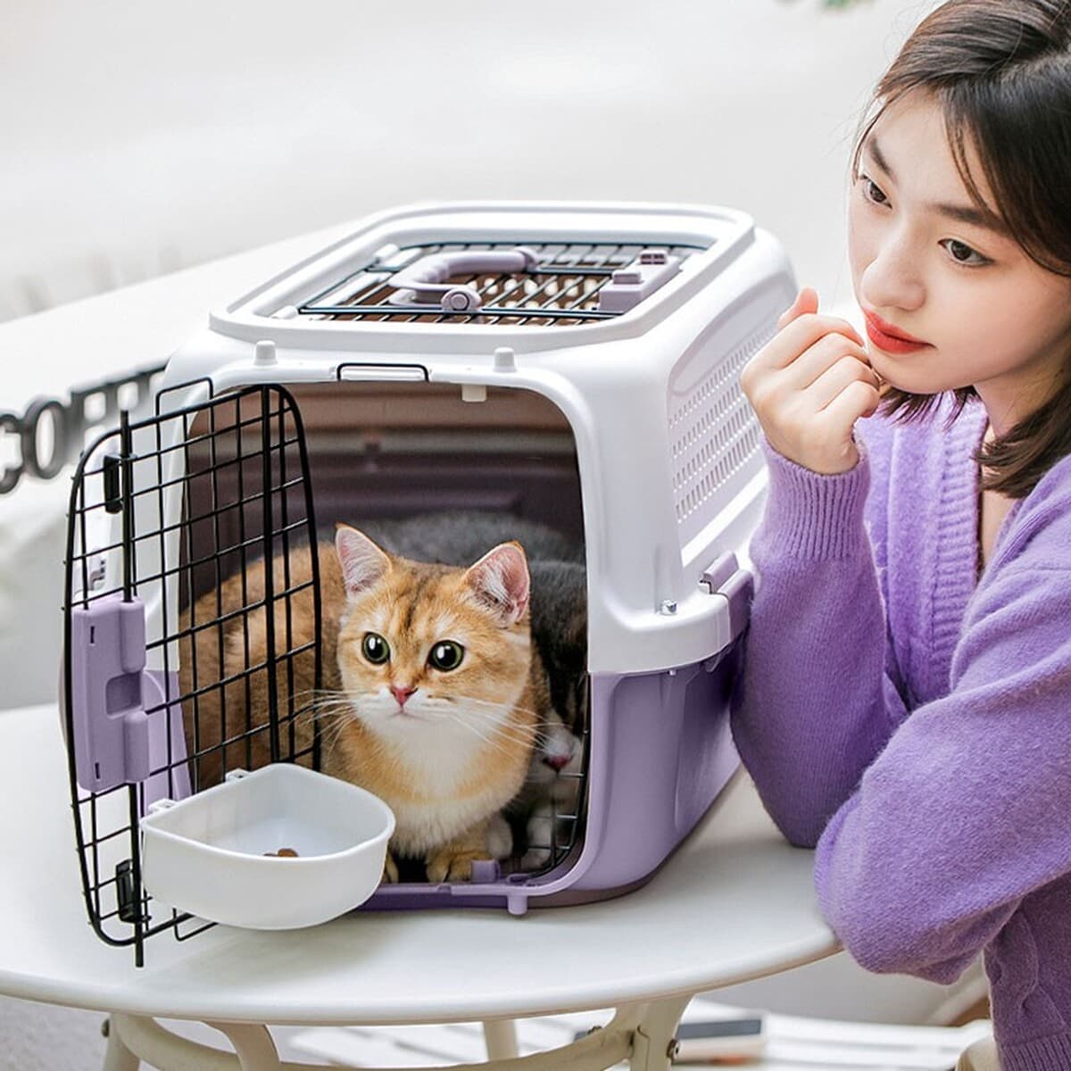 Cat Air Case Pet Consignment Исходящий Портативный Кошка Клетка Кошка Сумка Собака Транспортный Чехол Принадлежности
