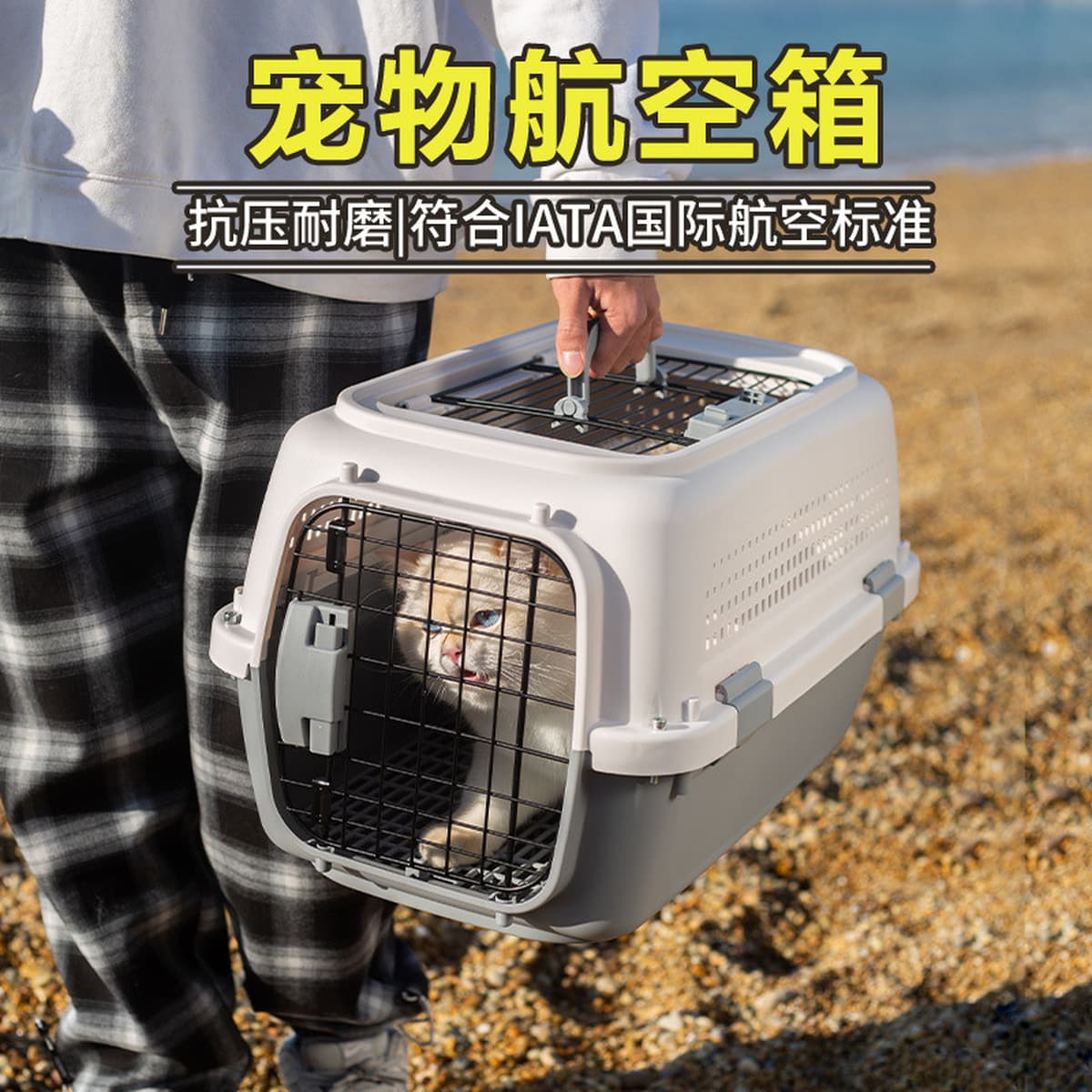 Коробка для домашних животных Air China стандартная коробка для собак