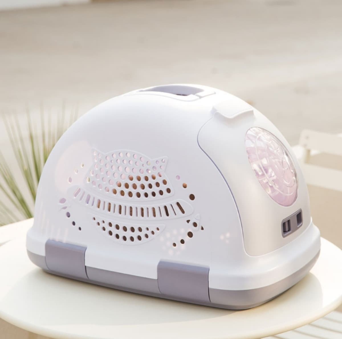 Pet Air Box Cat Кейдж Портативный ящик для перевозки собак Автомобиль Cat Сумка Транспортный чемодан Зоотовары