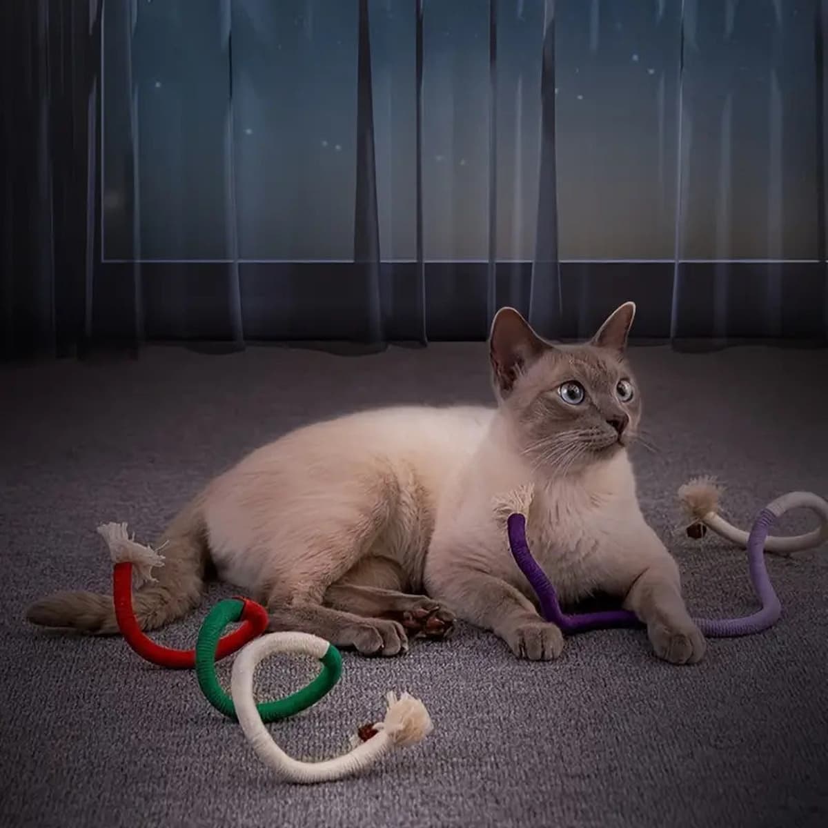 Кошка кусает веревку Кошка игрушка от привет