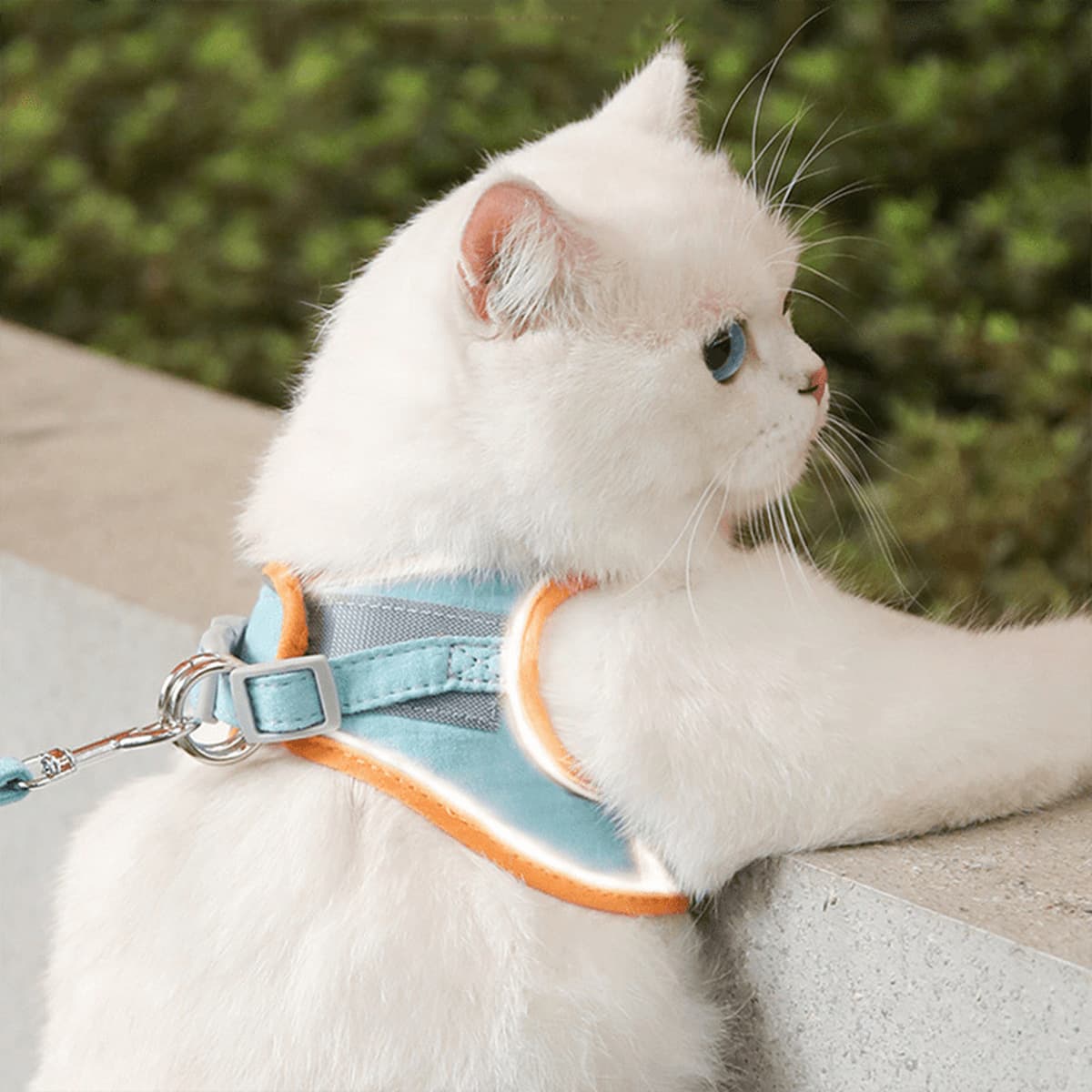 Кошка тяговый трос жилет нагрудный ремень Собака веревка костюм Кошка веревка средняя и маленькая собака тяговый трос...