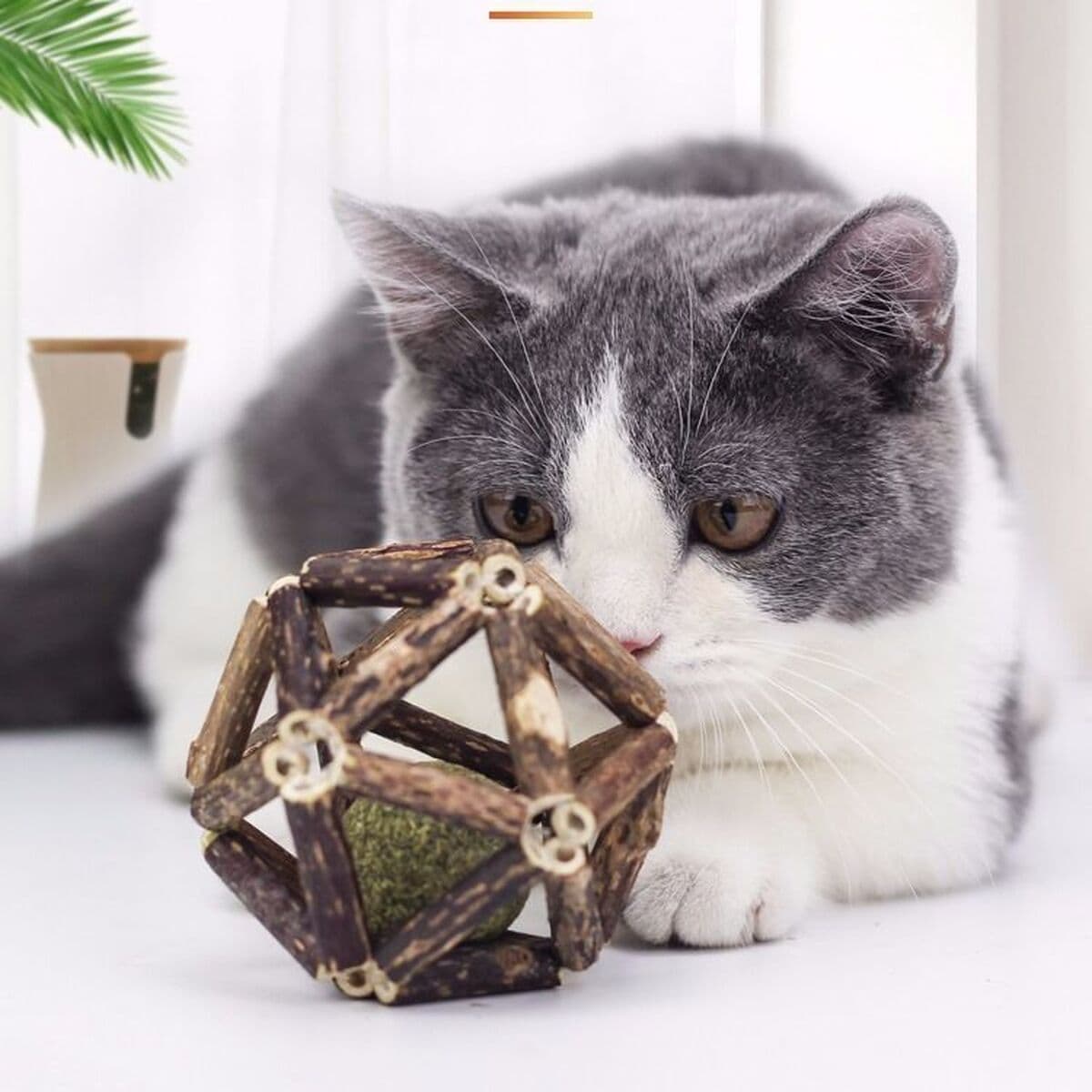 Мяч с кошачьей мятой, мяч-колокольчик, игрушка для кошек, саморазвлечение, палочка-тизер, палочка для прорезывания зубов,...