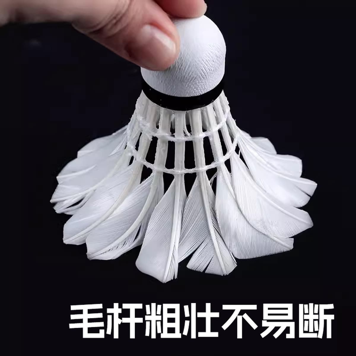 Welker Badminton на открытом воздухе высокая боеголовочная тренировка