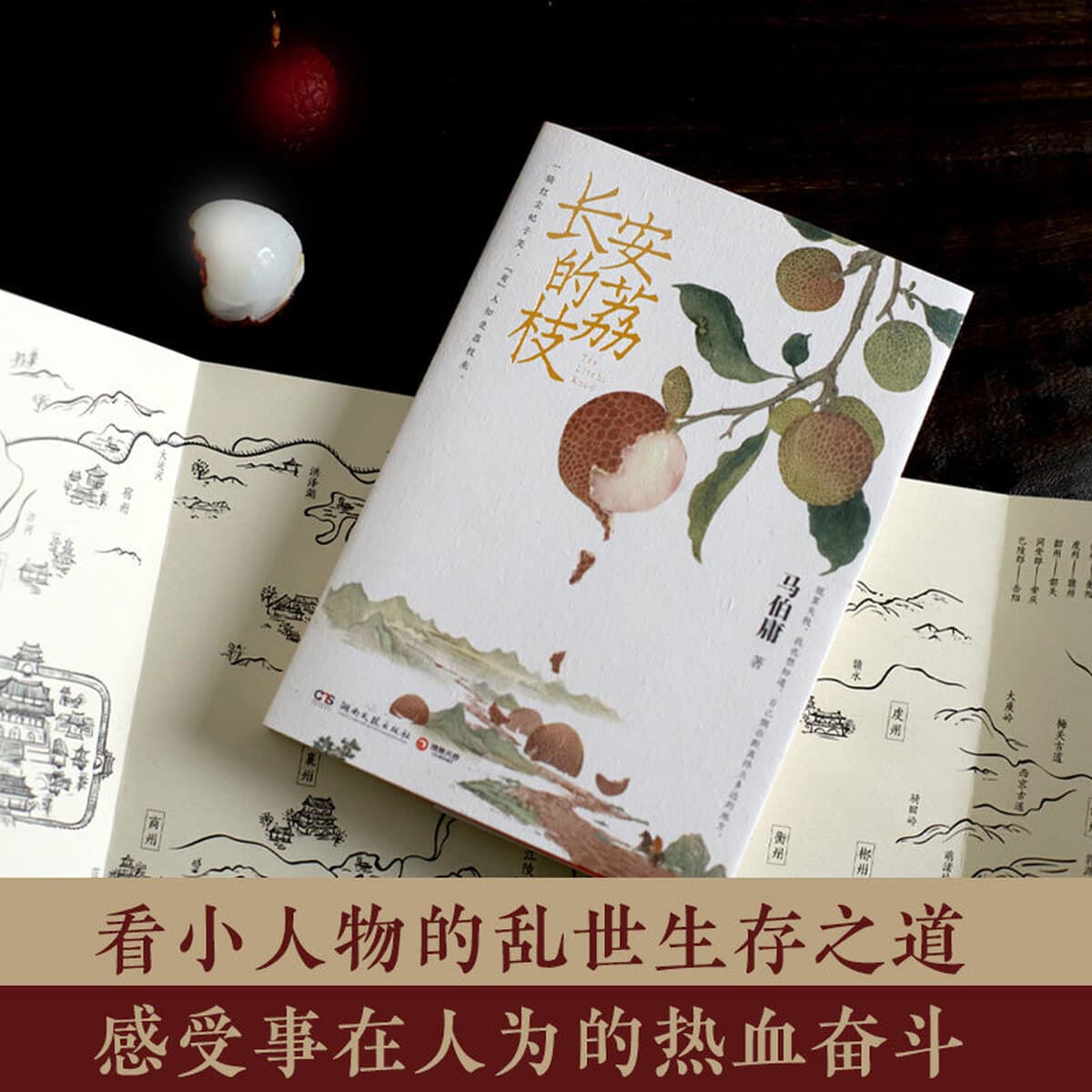 Аутентичные исторические рассказы микро-серии Ма Боянга из книги Changan's Lychee Books являются представительными работами...
