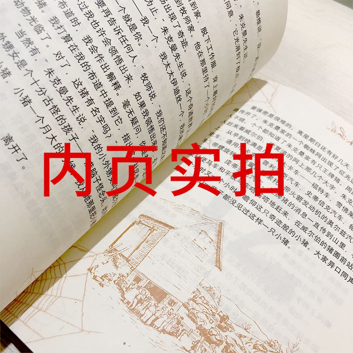 Сеть Шарлотты в третьем и четвертом классах обязательных книг для чтения