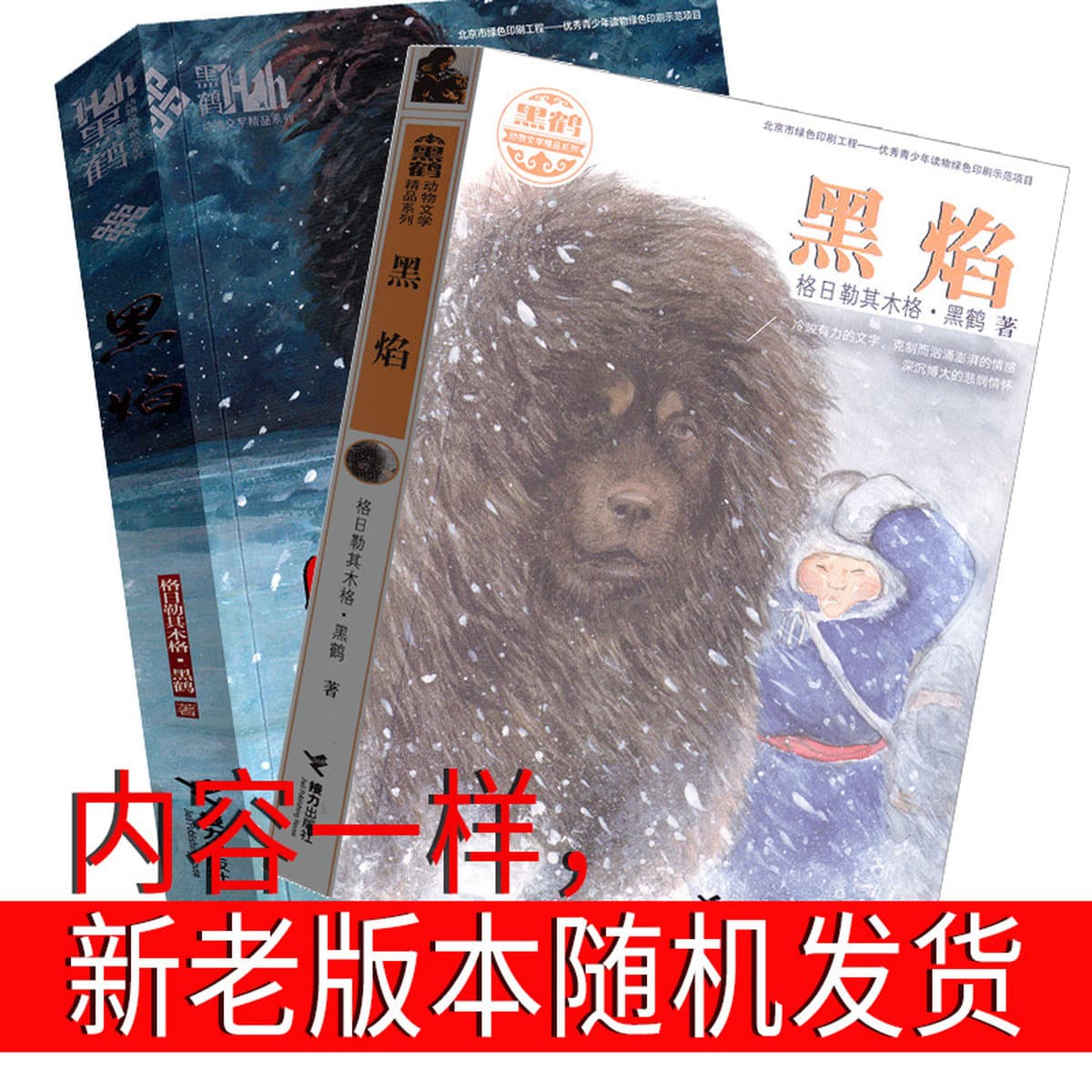 Книга черного пламени в пятом классе и шестом классе
