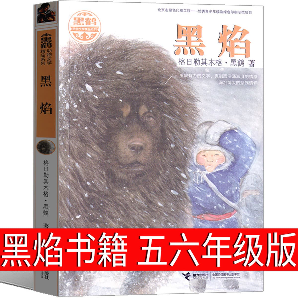 Книга черного пламени в пятом классе и шестом классе
