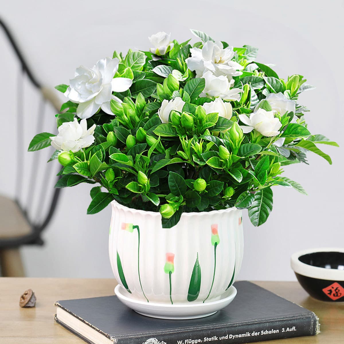 Цветочное растение Gardenia в горшке для дома с бутонами, балконное гидропонное зеленое растение, сильный аромат, большой...